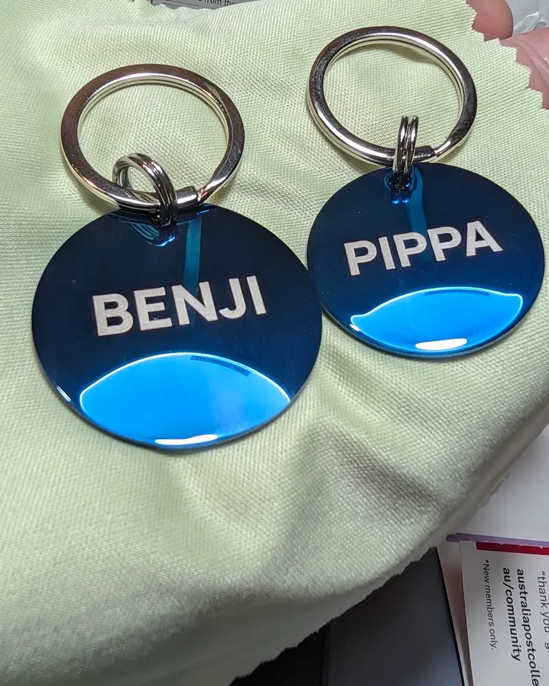 Two blue MoodTag round tags engraved BENJI and PIPPA, each on its Never-Fall Ring and 26mm attachment ring, on a green cloth