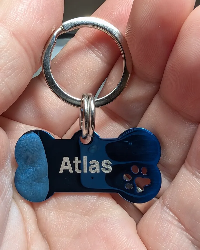 A blue MoodTag bone tag engraved Atlas, with a paw print, held in a hand on the Never-Fall Ring and the 26mm heavy-duty attachment ring