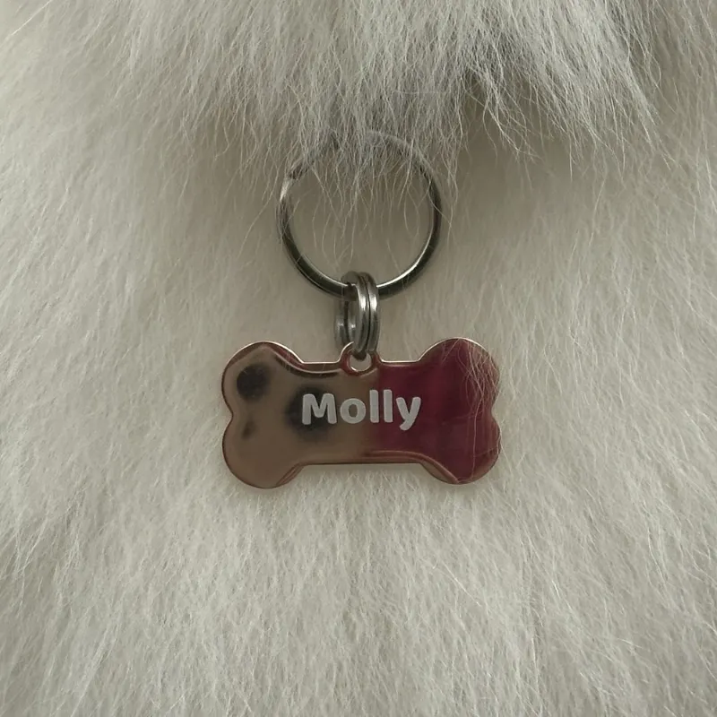 Close-up of Molly’s MoodTag bone tag, deep laser engraved with her name