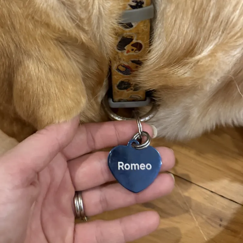 Romeo’s MoodTag Never-Fall MAX heart tag on its Never-Fall Ring and attachment ring