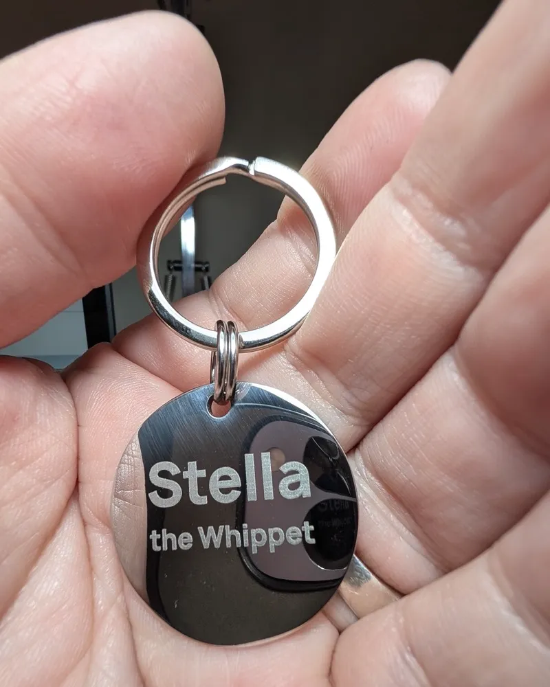 A stainless steel MoodTag round tag engraved Stella the Whippet, with a heart cut-out, held in a hand on the Never-Fall Ring and the 26mm attachment ring
