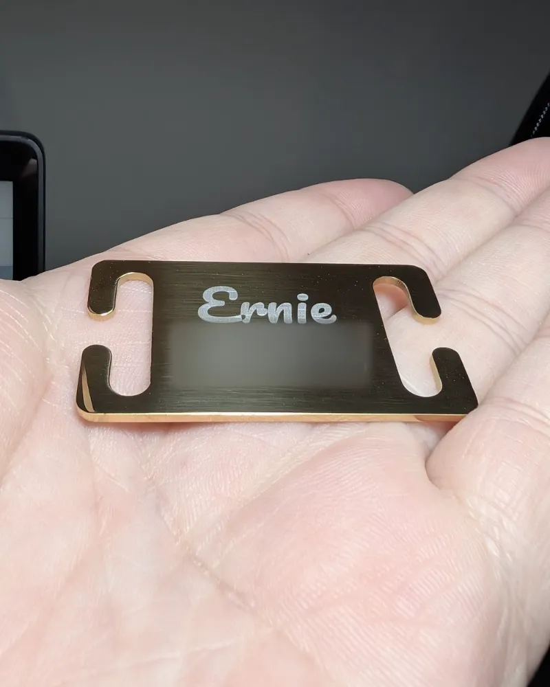 Small gold Silent Slide-On dog tag, deep laser engraved with the name Ernie, held in a hand, with the phone numbers blurred