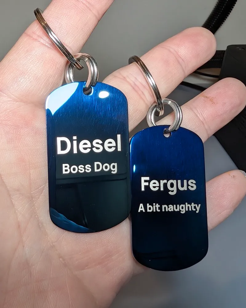 Two blue MoodTag tags held in a hand: one engraved Diesel, Boss Dog, the other Fergus, A bit naughty, each on its Never-Fall Ring and 26mm attachment ring