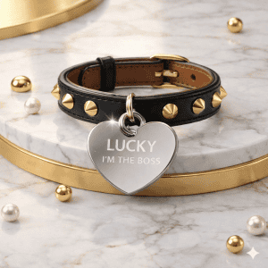 Engraved Heart Dog Tag for Small Dogs