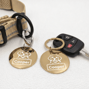 Dog Collar & Car Key