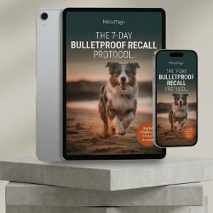 The 7-day recall protocol playbook