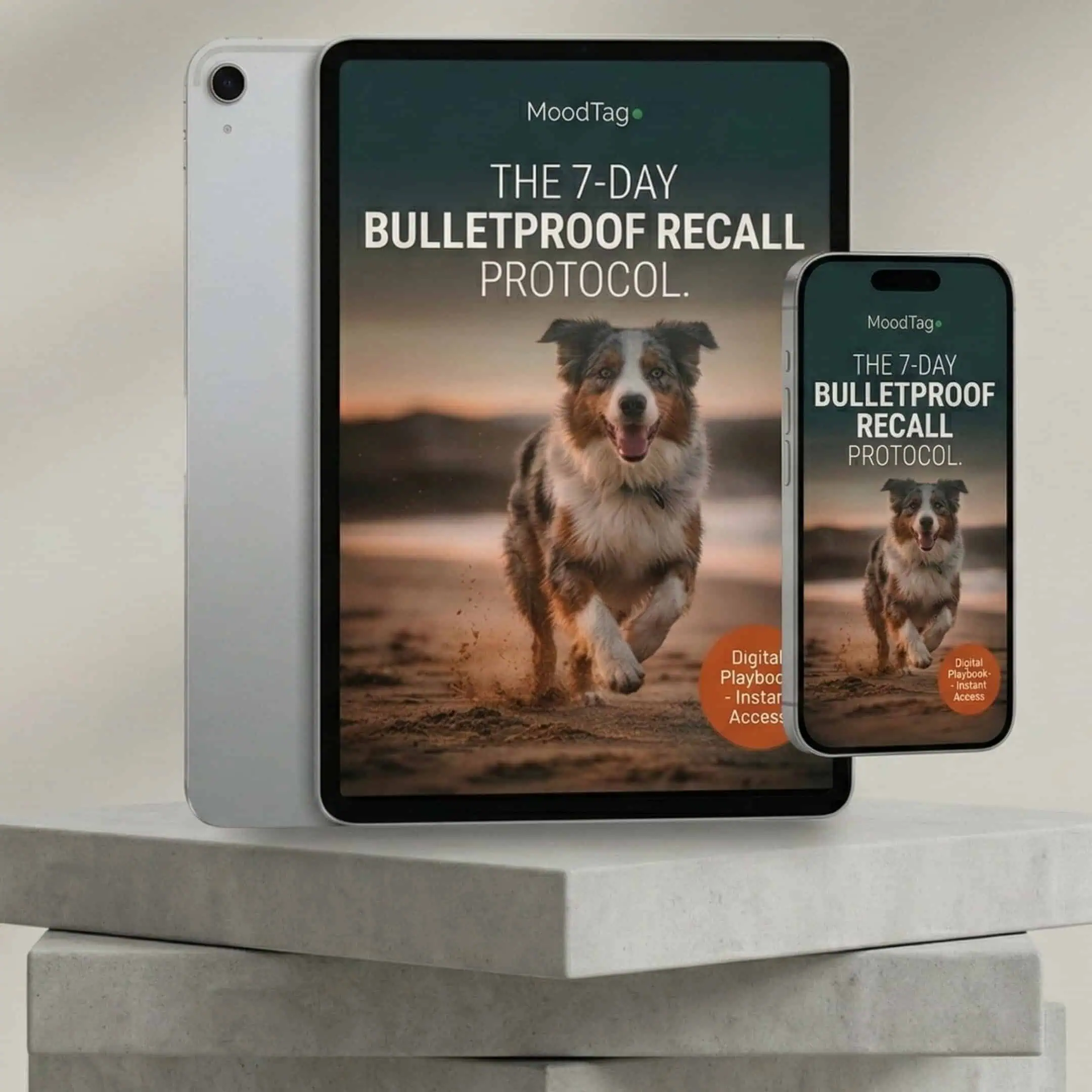 The 7-Day Bulletproof Recall Protocol