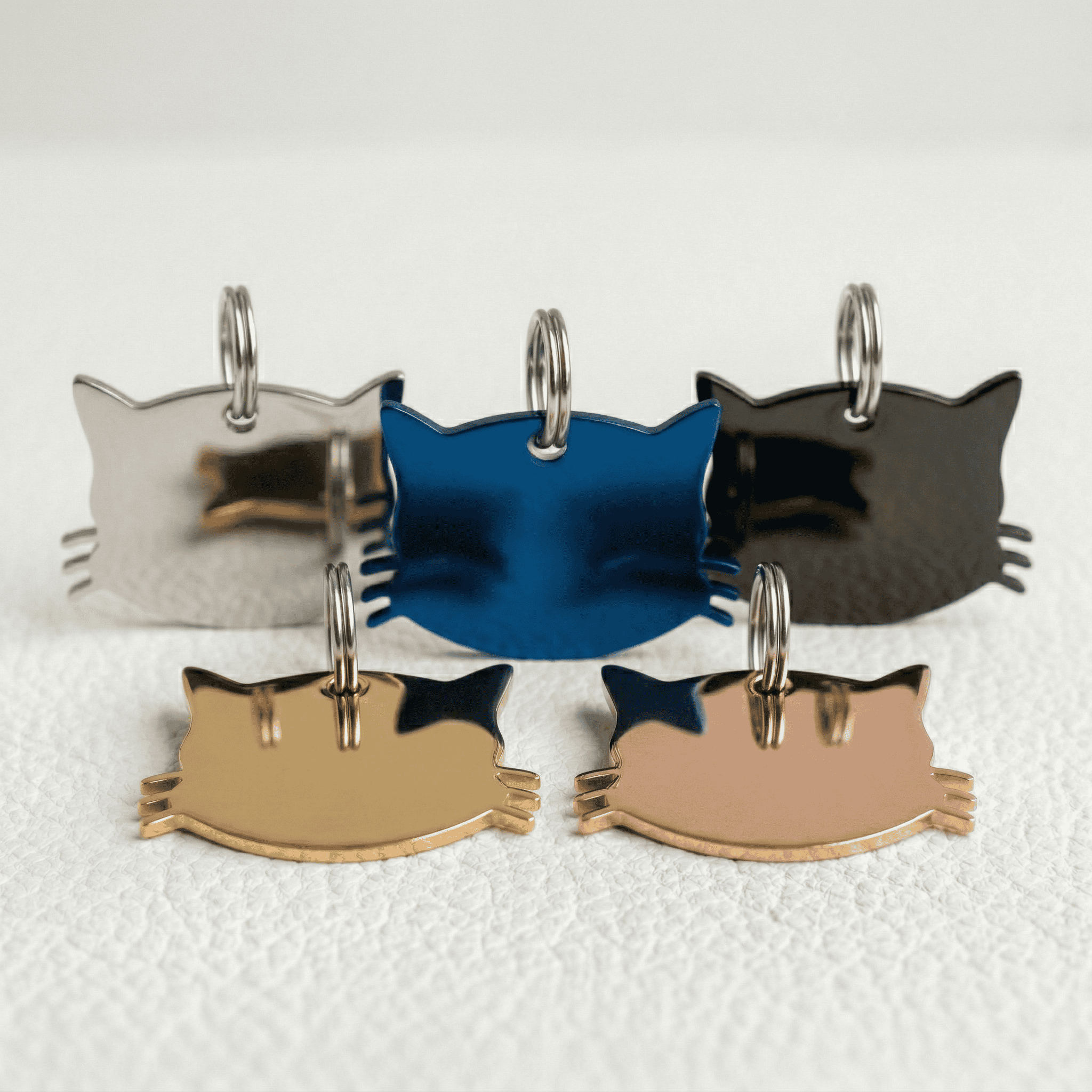 The Whisker Collection Image