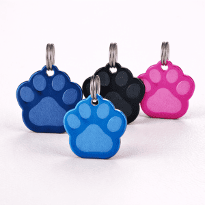 The Chroma Paw - Collection