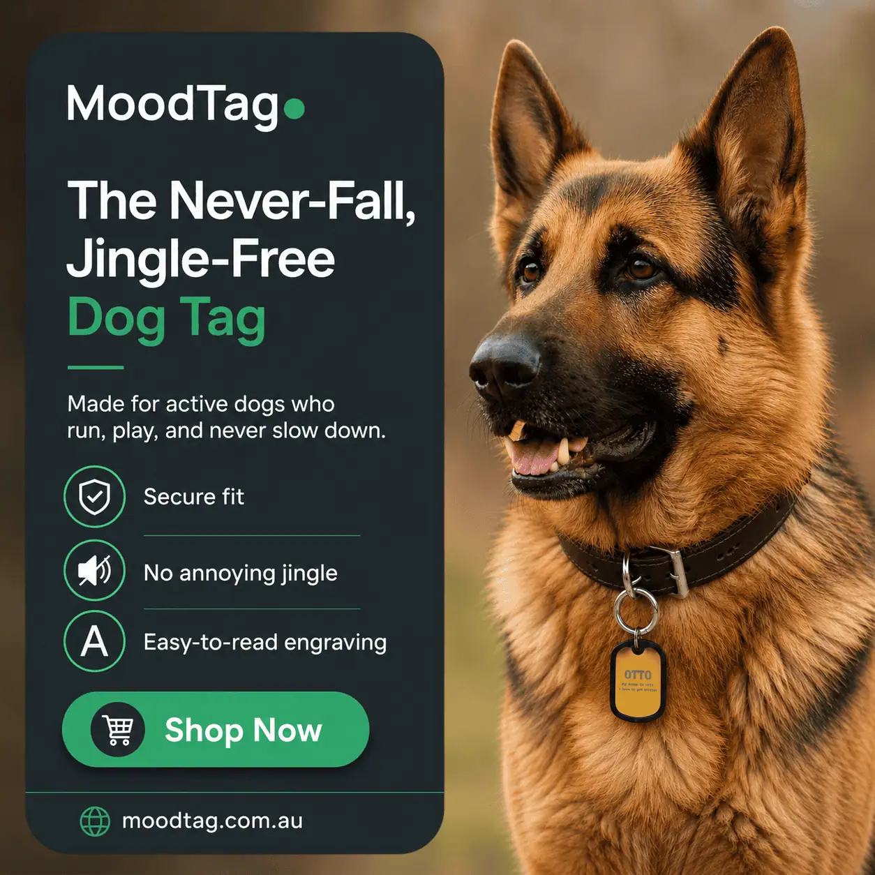 Active Dog Tags