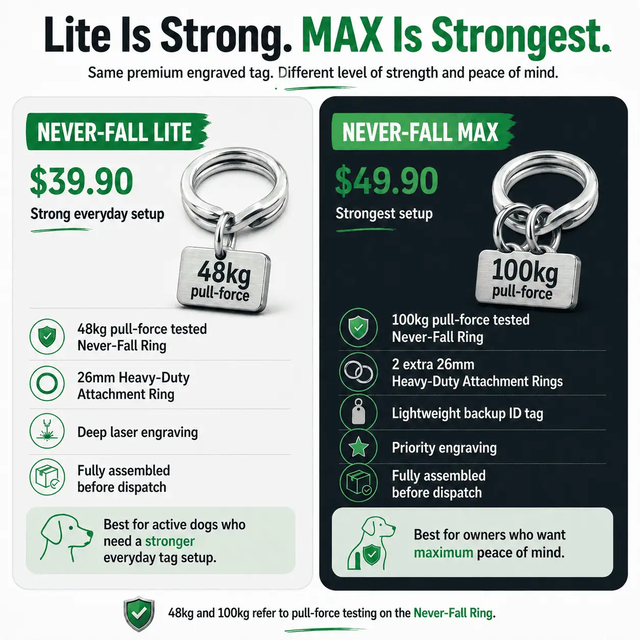 Never-Fall Setup Diagram