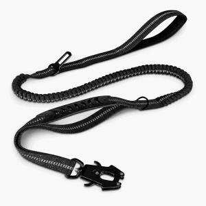 SecureRide Bungee Leash